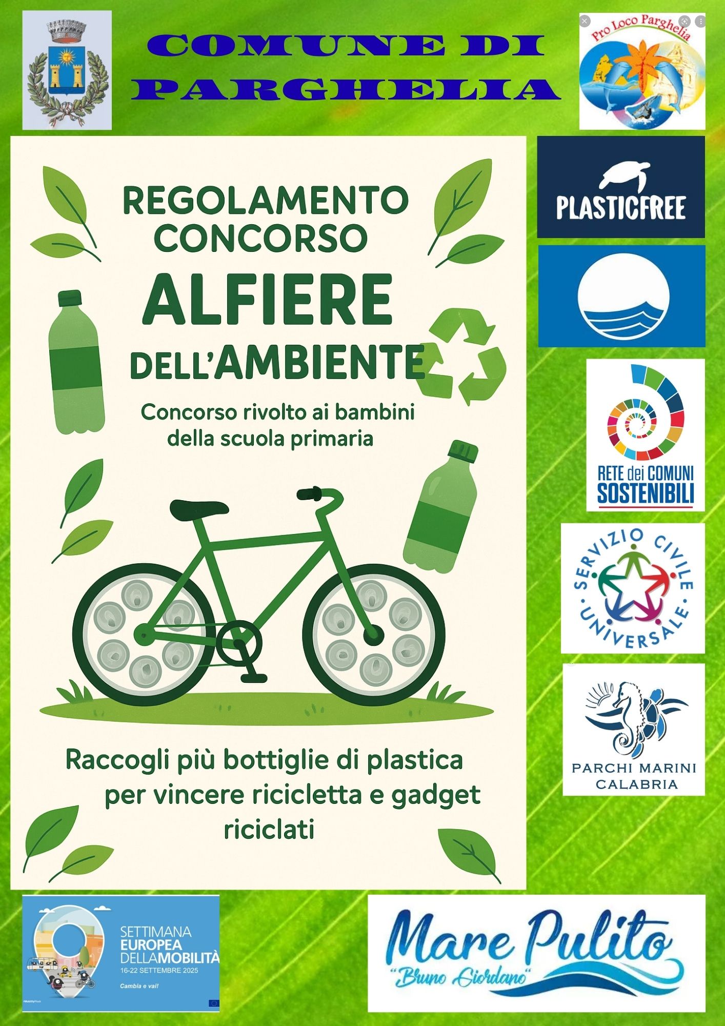 Alfiere dell'ambiente Alfiere dell'ambiente