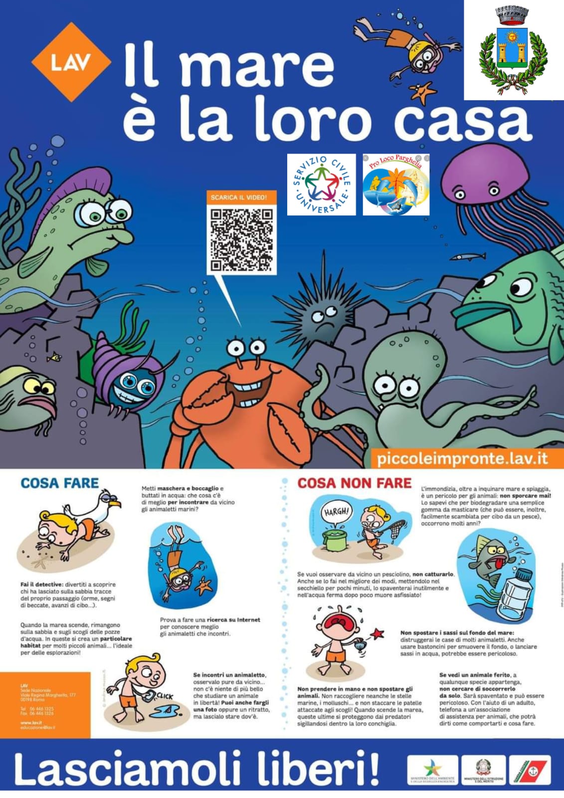 IL MARE E' LA LORO CASA LASCIAMOLI LIBERI